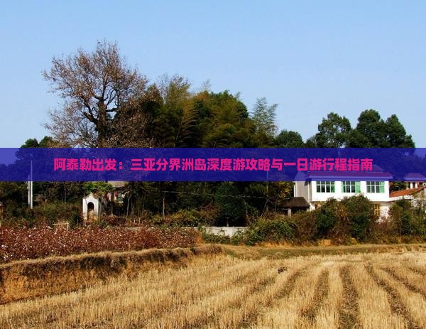阿泰勒出发：三亚分界洲岛深度游攻略与一日游行程指南