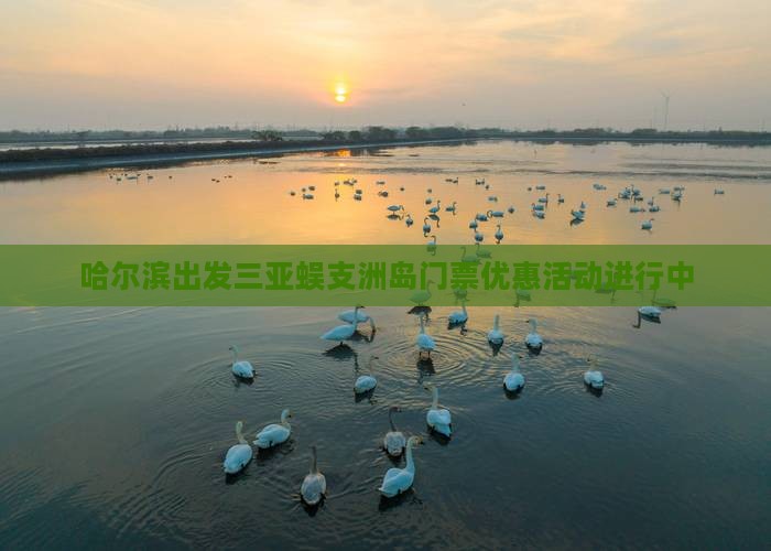 哈尔滨出发三亚蜈支洲岛门票优惠活动进行中