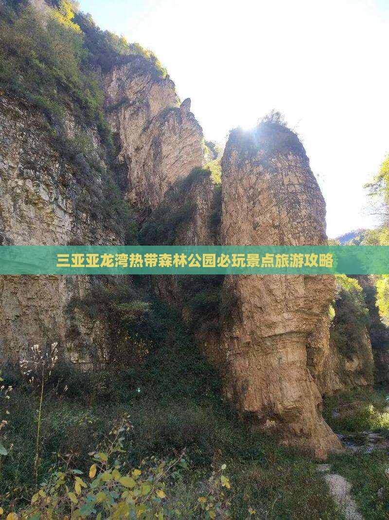 三亚亚龙湾热带森林公园必玩景点旅游攻略