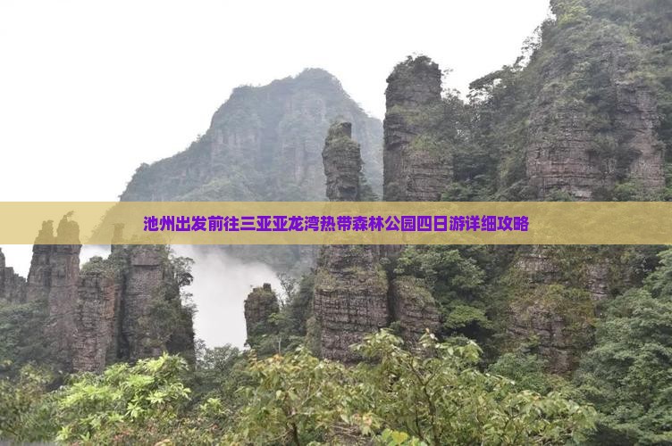 池州出发前往三亚亚龙湾热带森林公园四日游详细攻略