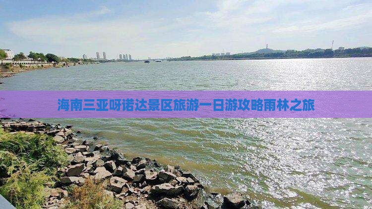 海南三亚呀诺达景区旅游一日游攻略雨林之旅