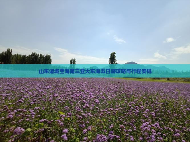 山东诸城至海南三亚大东海五日游攻略与行程安排