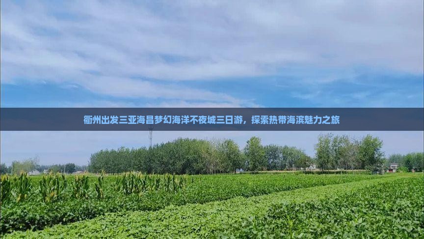 衢州出发三亚海昌梦幻海洋不夜城三日游，探索热带海滨魅力之旅