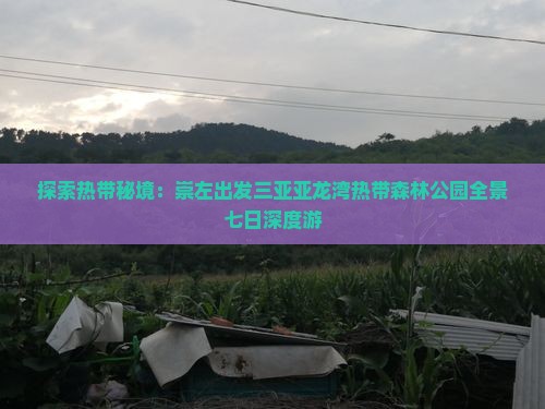探索热带秘境：崇左出发三亚亚龙湾热带森林公园全景七日深度游