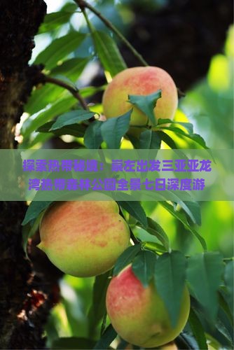 探索热带秘境：崇左出发三亚亚龙湾热带森林公园全景七日深度游