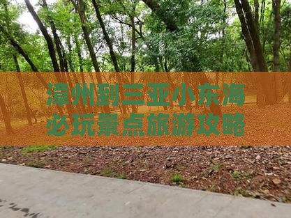 漳州到三亚小东海必玩景点旅游攻略游玩推荐