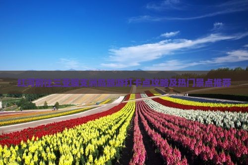 红河前往三亚蜈支洲岛旅游打卡点攻略及热门景点推荐
