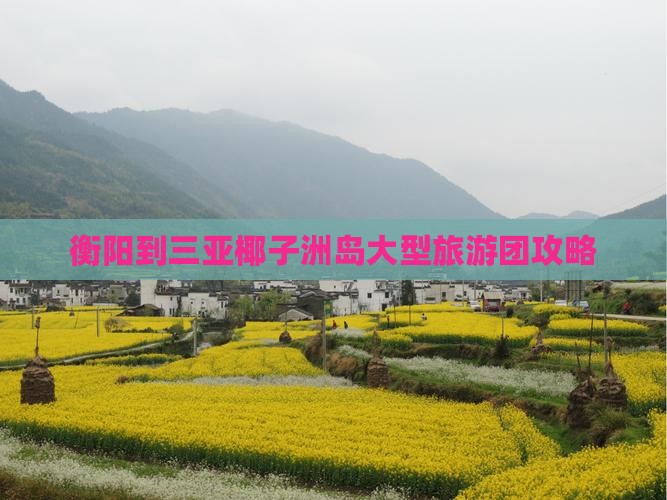 衡阳到三亚椰子洲岛大型旅游团攻略