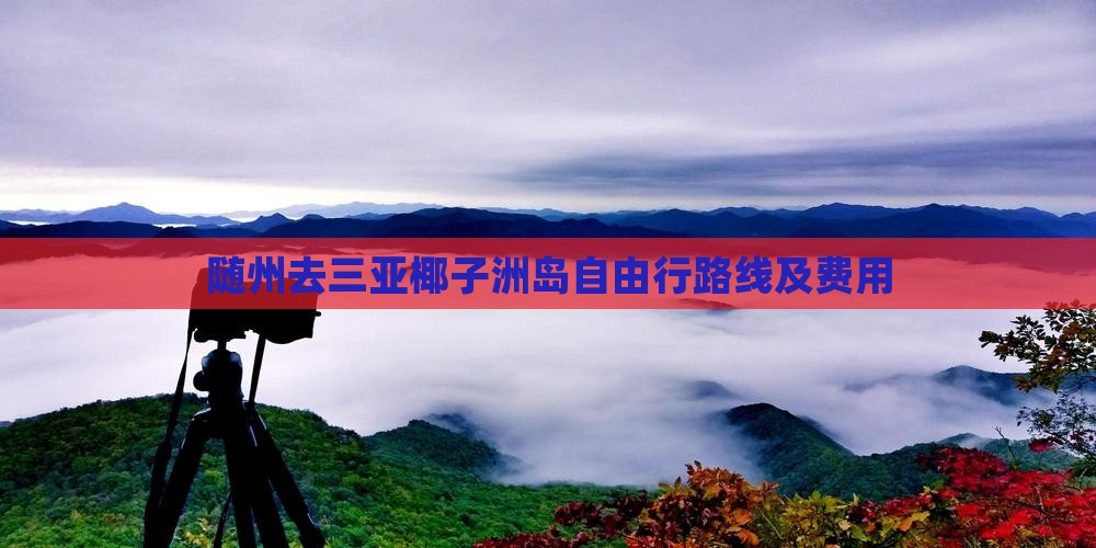 随州去三亚椰子洲岛自由行路线及费用