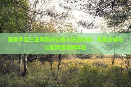 张家界至三亚凤凰岭公园七日游攻略：凤凰古城与公园深度旅游体验