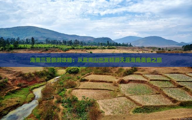 海南三亚旅游攻略：从武夷山出发畅游天涯海角美食之旅