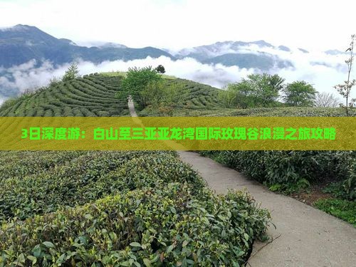 3日深度游：白山至三亚亚龙湾国际玫瑰谷浪漫之旅攻略