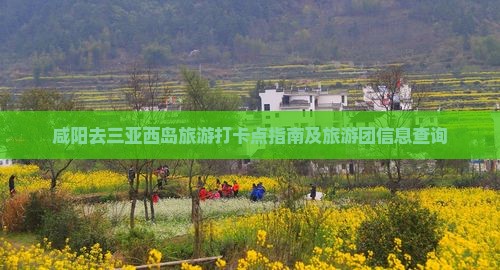 咸阳去三亚西岛旅游打卡点指南及旅游团信息查询