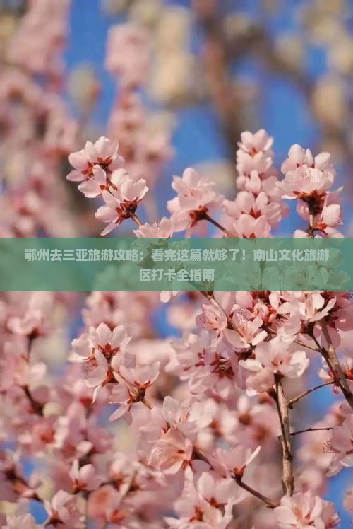 鄂州去三亚旅游攻略：看完这篇就够了！南山文化旅游区打卡全指南