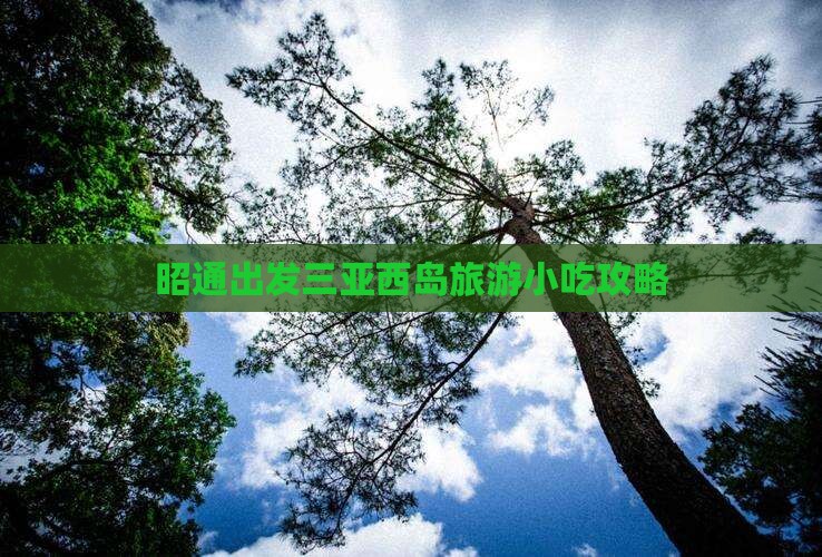 昭通出发三亚西岛旅游小吃攻略