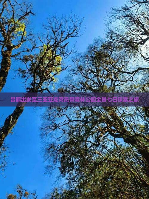昌都出发至三亚亚龙湾热带森林公园全景七日探索之旅