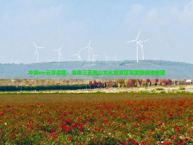 冲突nn云浮启程：海南三亚南山文化旅游区深度旅游攻略团