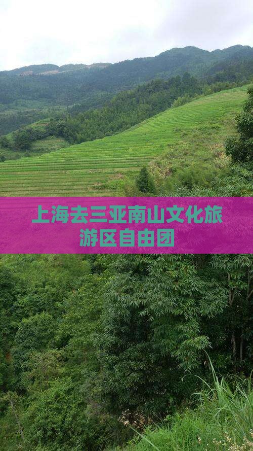 上海去三亚南山文化旅游区自由团