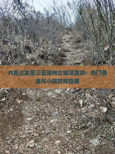 许昌出发至三亚崖州古城深度游：热门美食与小吃攻略指南