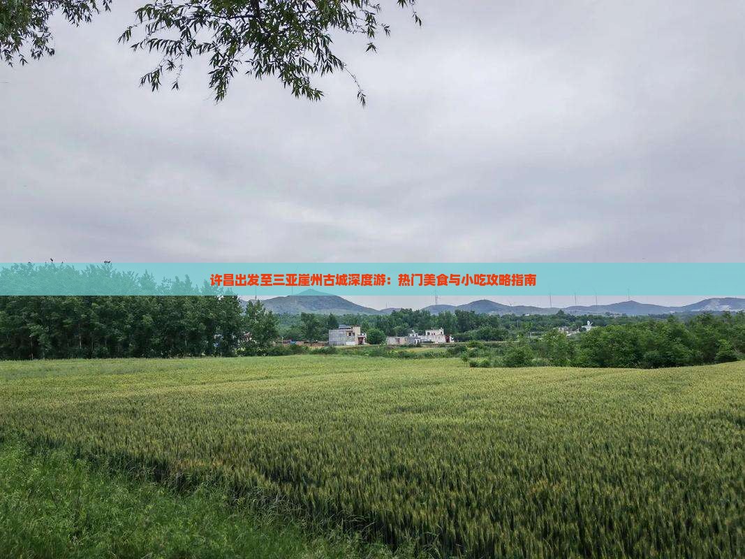 许昌出发至三亚崖州古城深度游：热门美食与小吃攻略指南