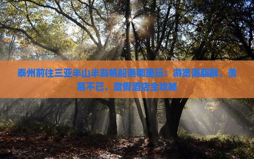 泰州前往三亚半山半岛帆船港哪里玩：游览游艇群，羡慕不已，度假酒店全攻略