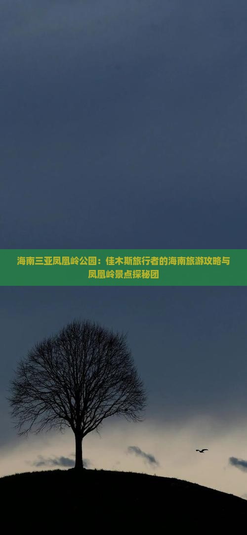 海南三亚凤凰岭公园：佳木斯旅行者的海南旅游攻略与凤凰岭景点探秘团