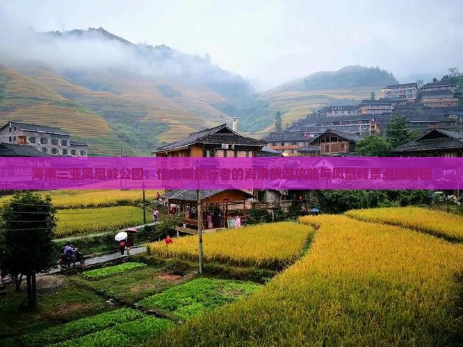 海南三亚凤凰岭公园：佳木斯旅行者的海南旅游攻略与凤凰岭景点探秘团