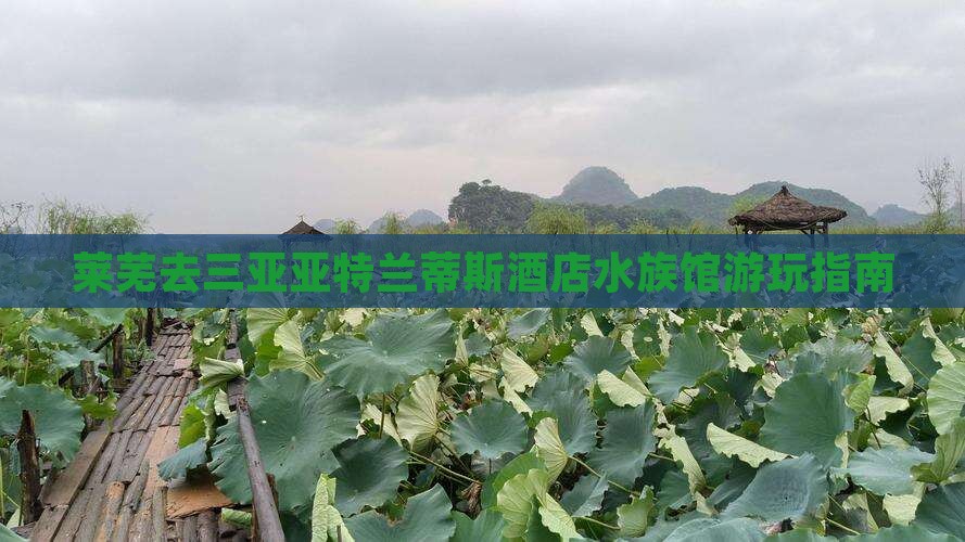 莱芜去三亚亚特兰蒂斯酒店水族馆游玩指南