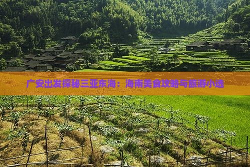 广安出发探秘三亚东海:海南美食攻略与旅游小选 广安出发探秘三亚东海:海南美食攻略与旅游小选