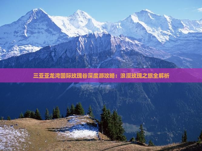三亚亚龙湾国际玫瑰谷深度游攻略：浪漫玫瑰之旅全解析