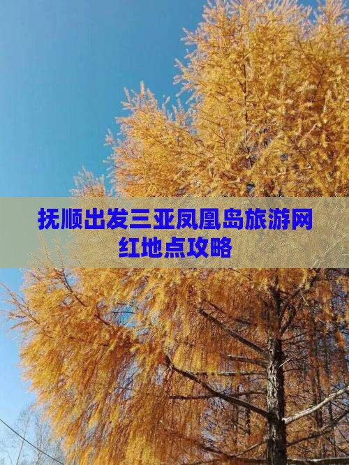 抚顺出发三亚凤凰岛旅游网红地点攻略