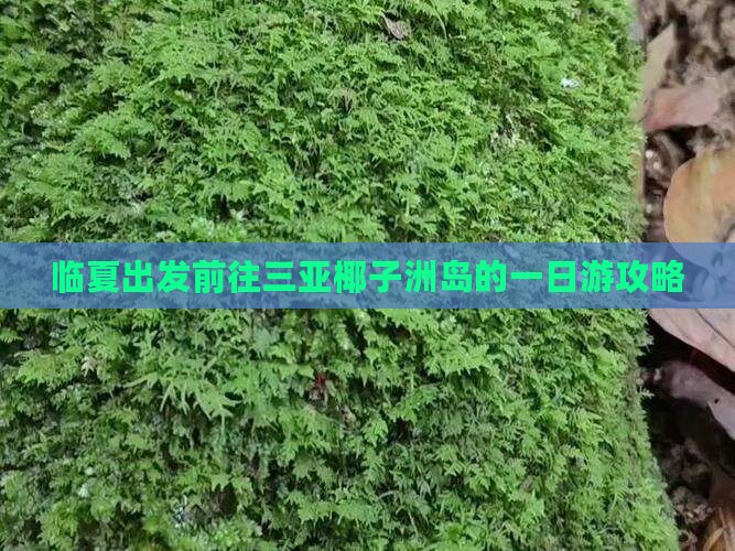 临夏出发前往三亚椰子洲岛的一日游攻略