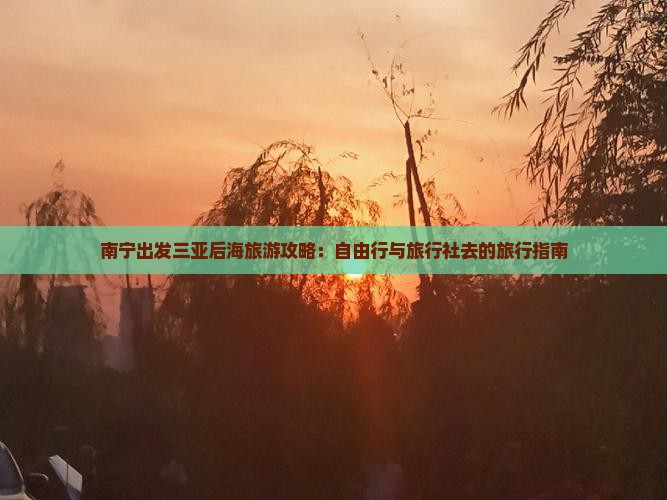 南宁出发三亚后海旅游攻略：自由行与旅行社去的旅行指南