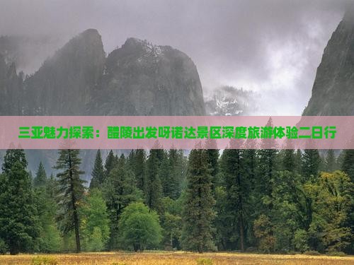 三亚魅力探索：醴陵出发呀诺达景区深度旅游体验二日行