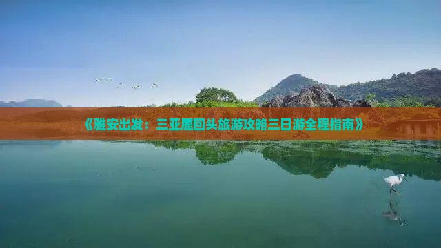 《雅安出发：三亚鹿回头旅游攻略三日游全程指南》