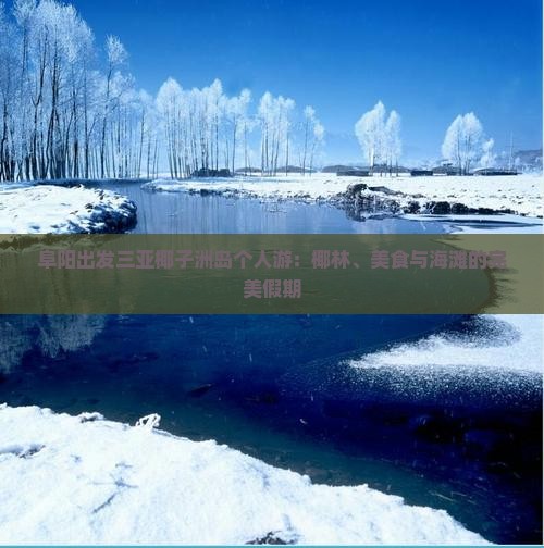 阜阳出发三亚椰子洲岛个人游：椰林、美食与海滩的完美假期