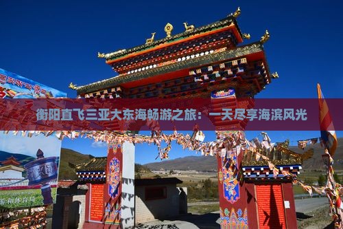 衡阳直飞三亚大东海畅游之旅：一天尽享海滨风光