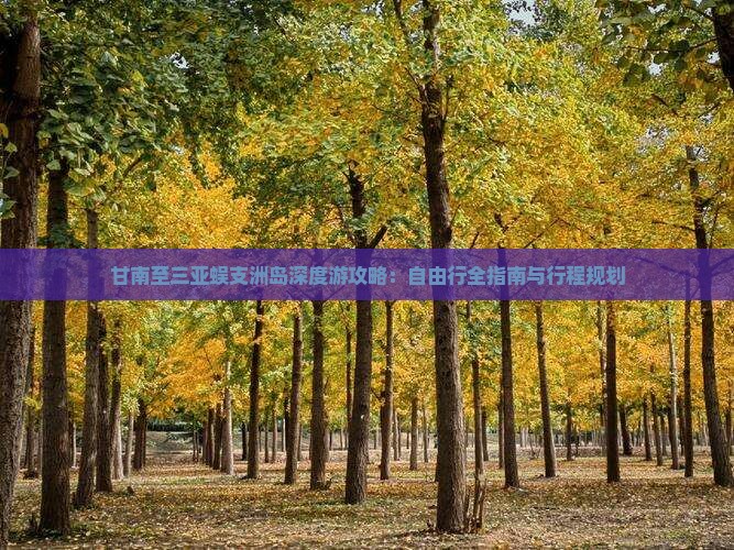 甘南至三亚蜈支洲岛深度游攻略：自由行全指南与行程规划