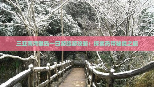 三亚南湾猴岛一日游旅游攻略：探索热带秘境之旅