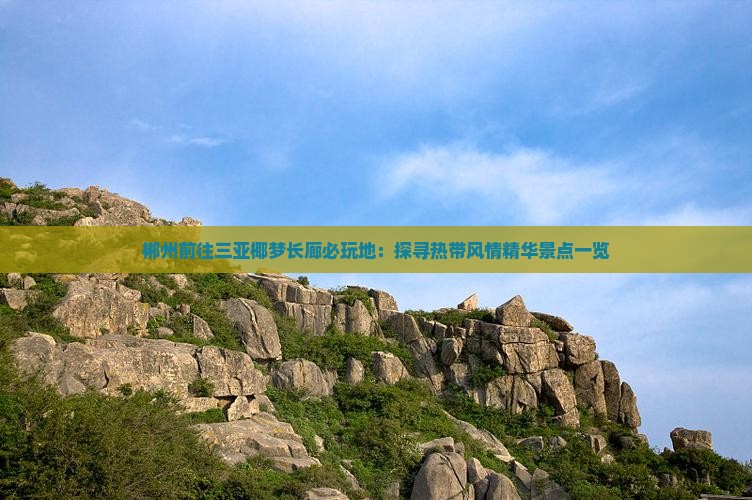 郴州前往三亚椰梦长廊必玩地：探寻热带风情精华景点一览