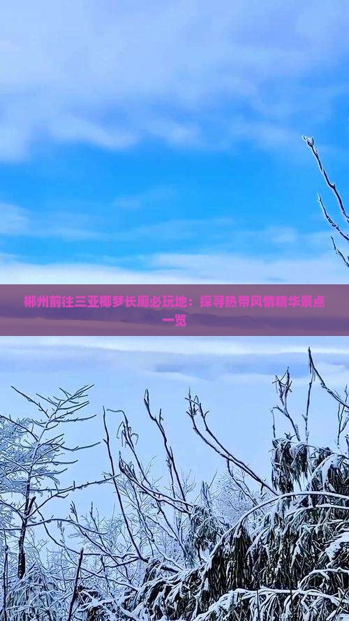 郴州前往三亚椰梦长廊必玩地：探寻热带风情精华景点一览