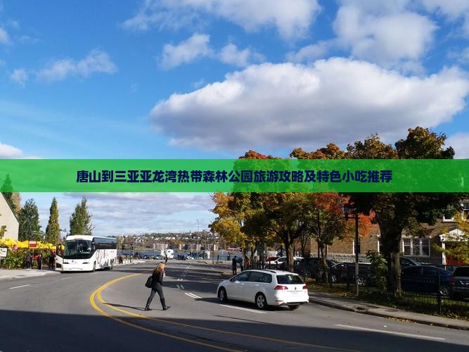 唐山到三亚亚龙湾热带森林公园旅游攻略及特色小吃推荐