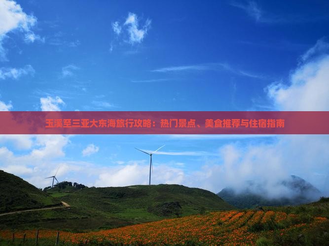 玉溪至三亚大东海旅行攻略：热门景点、美食推荐与住宿指南