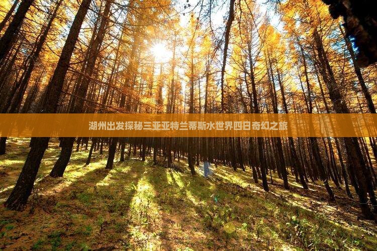 湖州出发探秘三亚亚特兰蒂斯水世界四日奇幻之旅