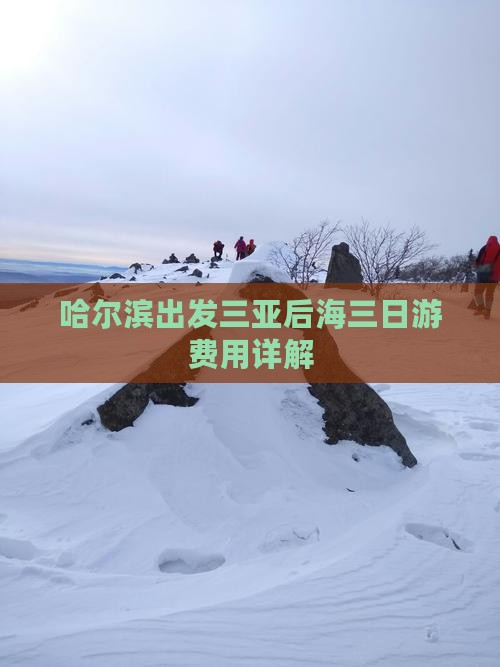 哈尔滨出发三亚后海三日游费用详解