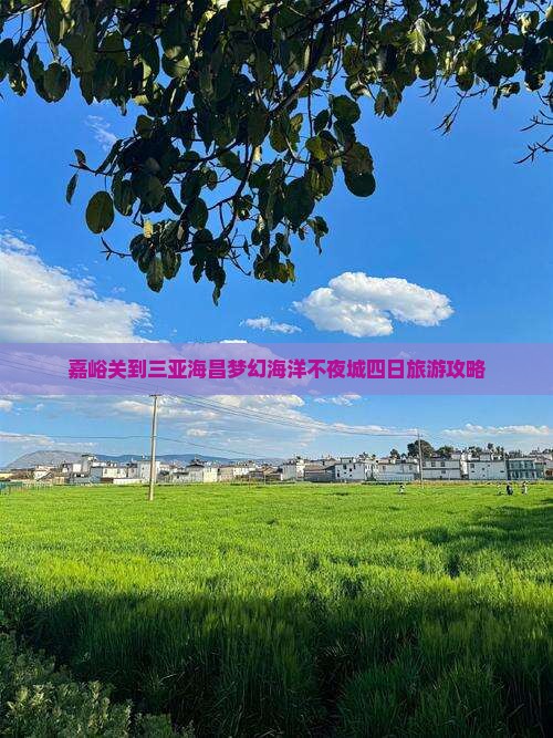 嘉峪关到三亚海昌梦幻海洋不夜城四日旅游攻略