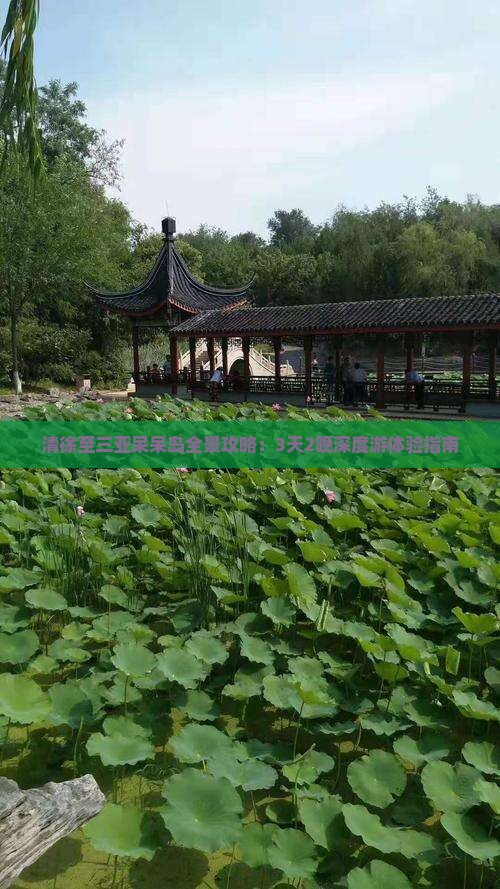 清徐至三亚呆呆岛全景攻略：3天2晚深度游体验指南