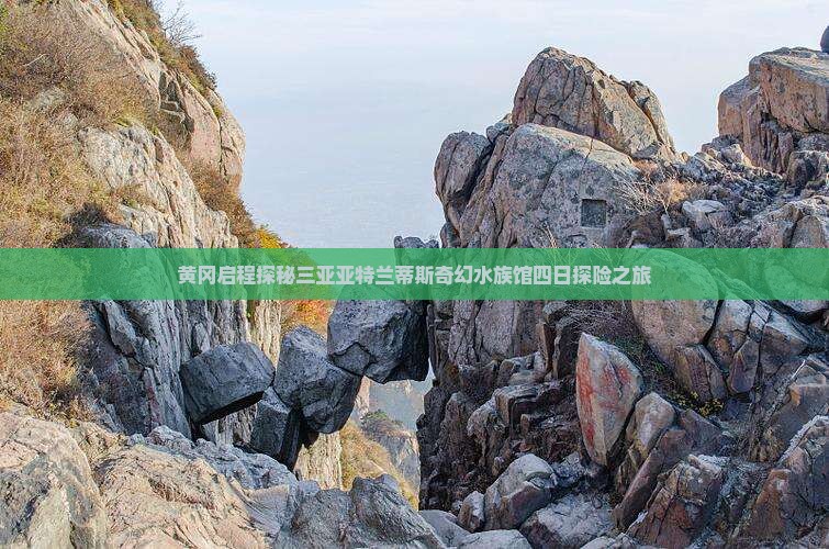 黄冈启程探秘三亚亚特兰蒂斯奇幻水族馆四日探险之旅