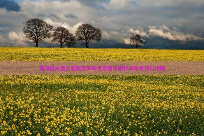 益阳出发至三亚蜈支洲岛全景团体旅行攻略及预订指南