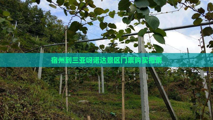 宿州到三亚呀诺达景区门票购买指南
